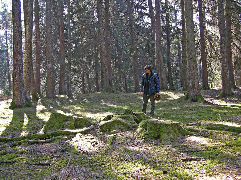 Qualcosa si muove...